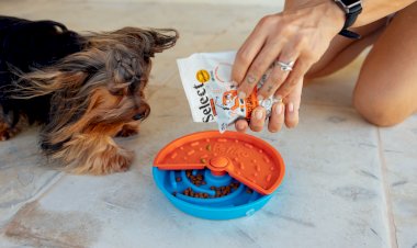 Nutrire promove evento beneficente em prol dos pets no Bar Joe